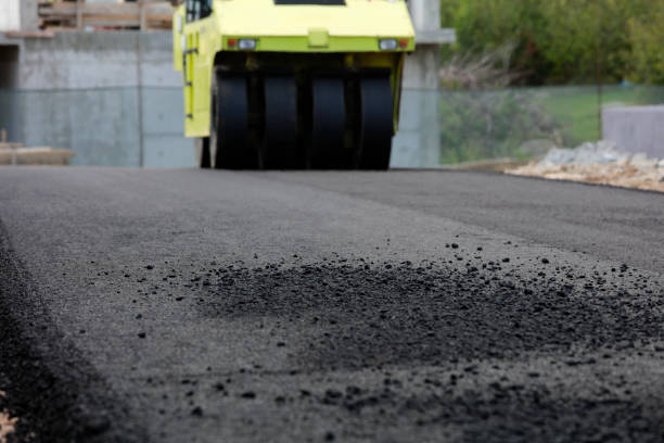 Best Local Driveway Pavers  in Shawano, WI
